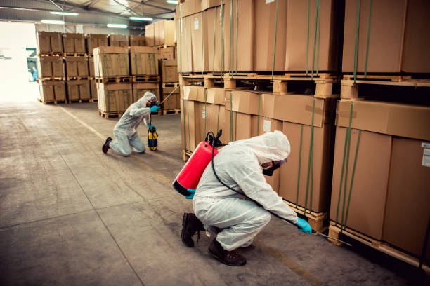  Jacksonville, AR Pest Control Pros