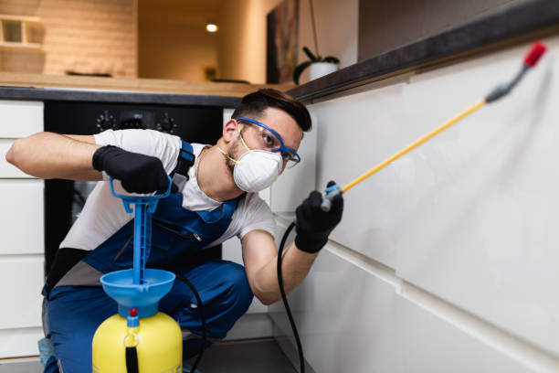 Best Affordable Pest Control Services  in Jacksonville, AR