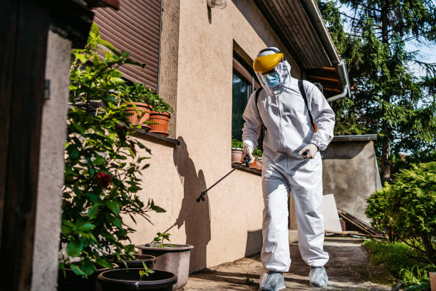 Insect Control in Jacksonville, AR