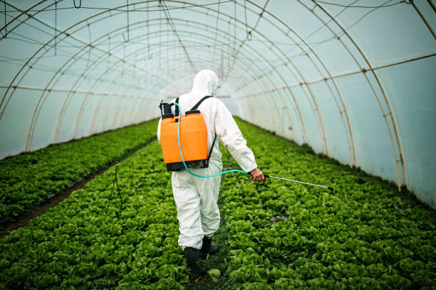 Professional Pest Control in Jacksonville, AR