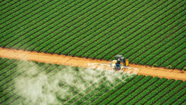 Best Pest Prevention Services  in Jacksonville, AR