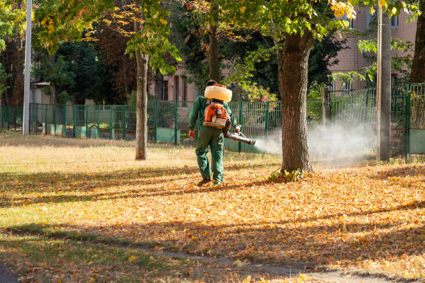 Best Wildlife Control Services  in Jacksonville, AR