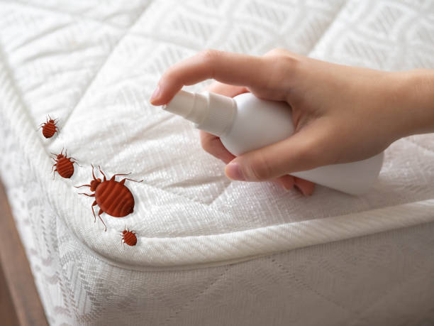 Best Commercial Pest Control Services  in Jacksonville, AR