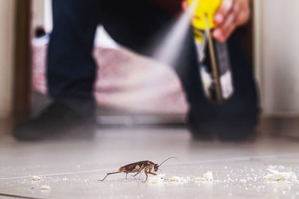Best Termite Control Services  in Jacksonville, AR