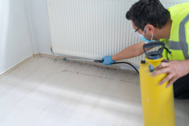 Best Emergency Pest Control  in Jacksonville, AR